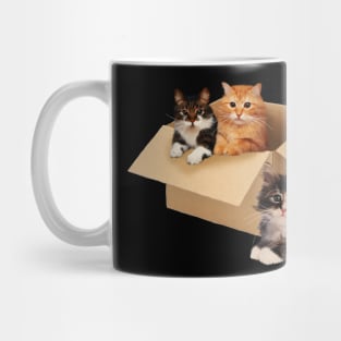 Cute Cats inside Box, Love cats Kittens Mug